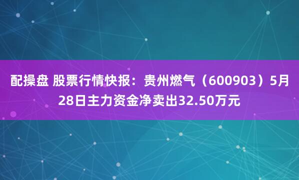 配操盘 股票行情快报：贵州燃气（600903）5月28日主力资金净卖出32.50万元