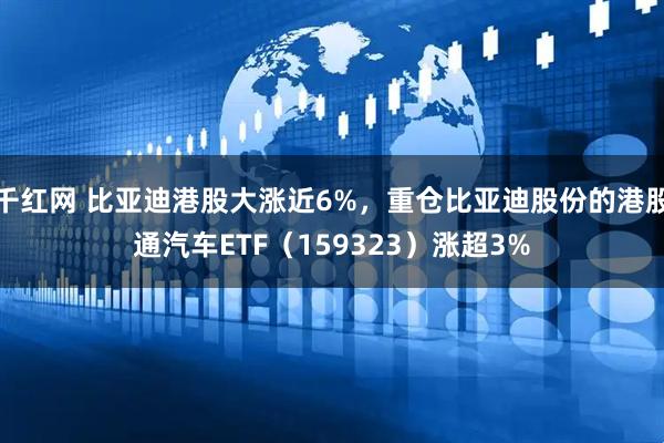 千红网 比亚迪港股大涨近6%，重仓比亚迪股份的港股通汽车ETF（159323）涨超3%