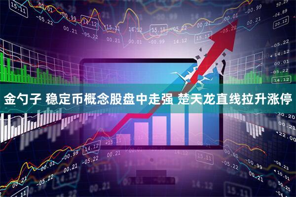 金勺子 稳定币概念股盘中走强 楚天龙直线拉升涨停