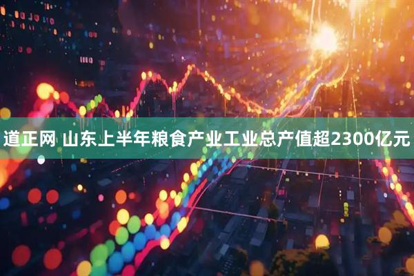 道正网 山东上半年粮食产业工业总产值超2300亿元